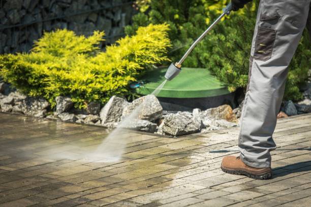 Best Animal Enclosure Cleaning  in Lake Riverside, CA